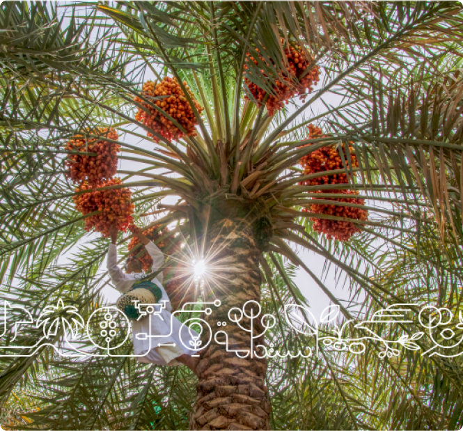 plant-content-image3