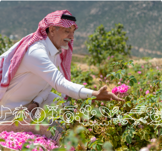 plant-content-image4