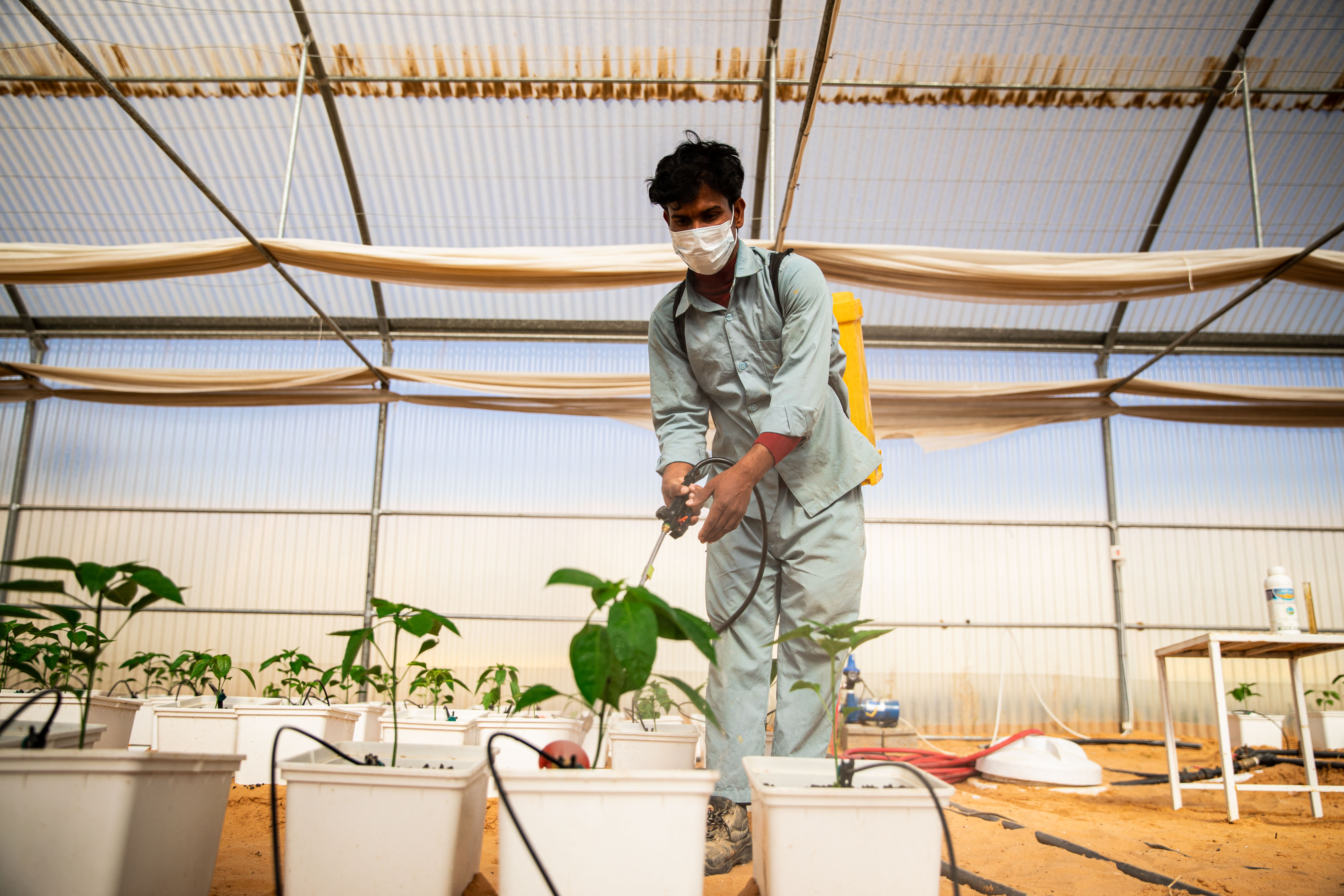 plant-11.jpg