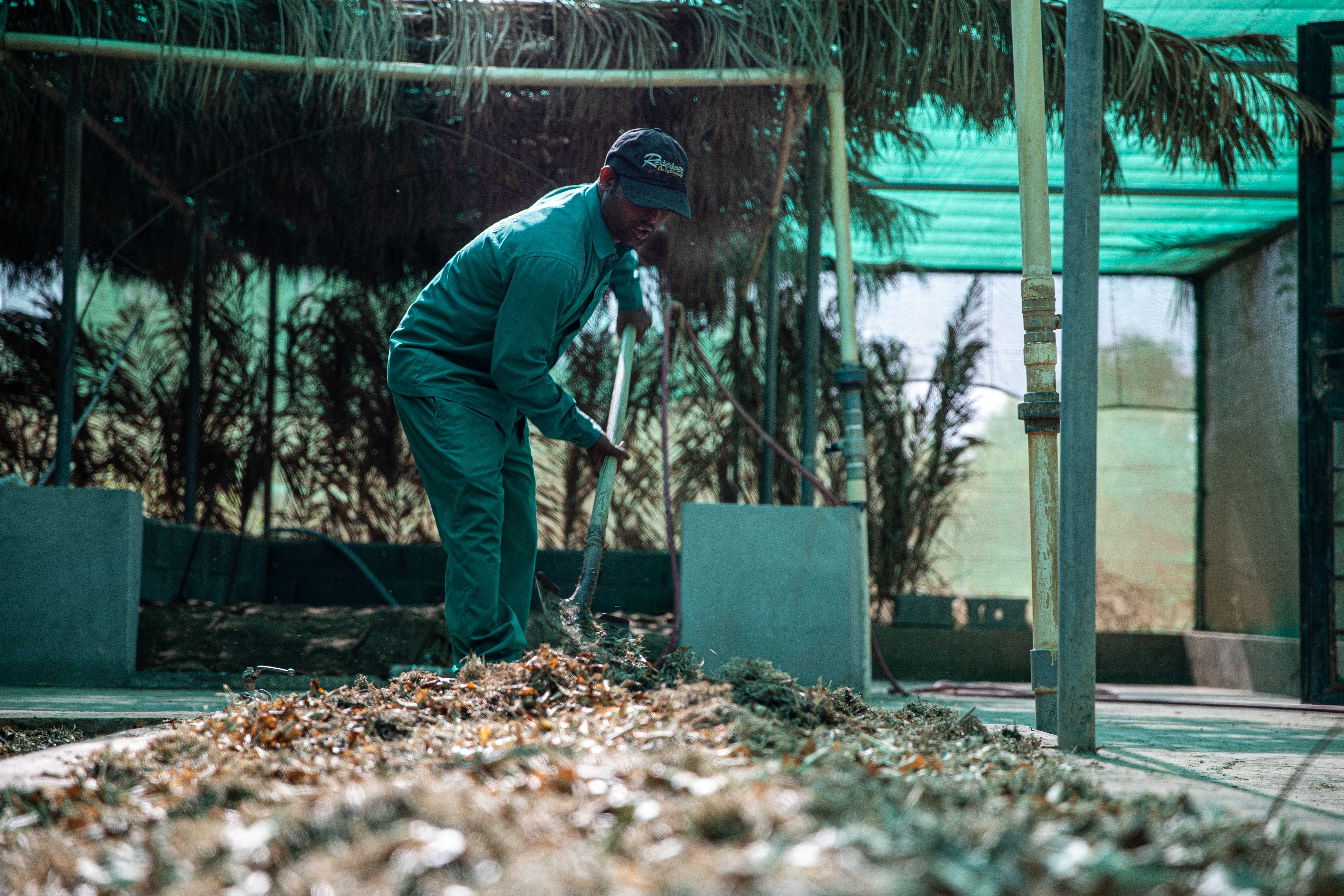 plant-18.jpg